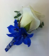 1002930_406104369497891_534030747_n